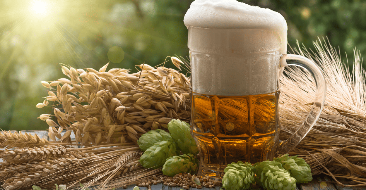 Cerveja puro malte